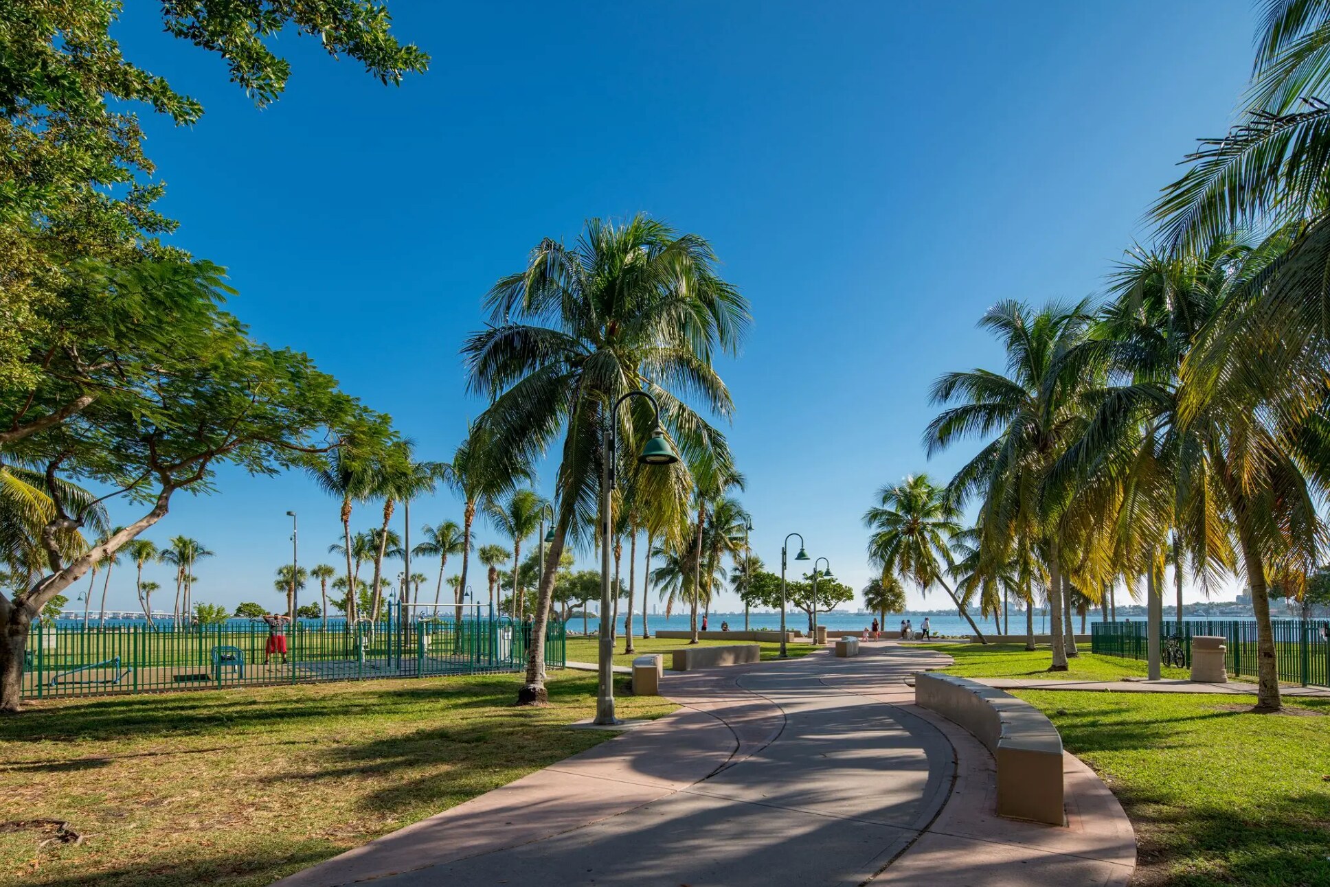 Palm-lined path at Margaret Pace Park in Edgewater