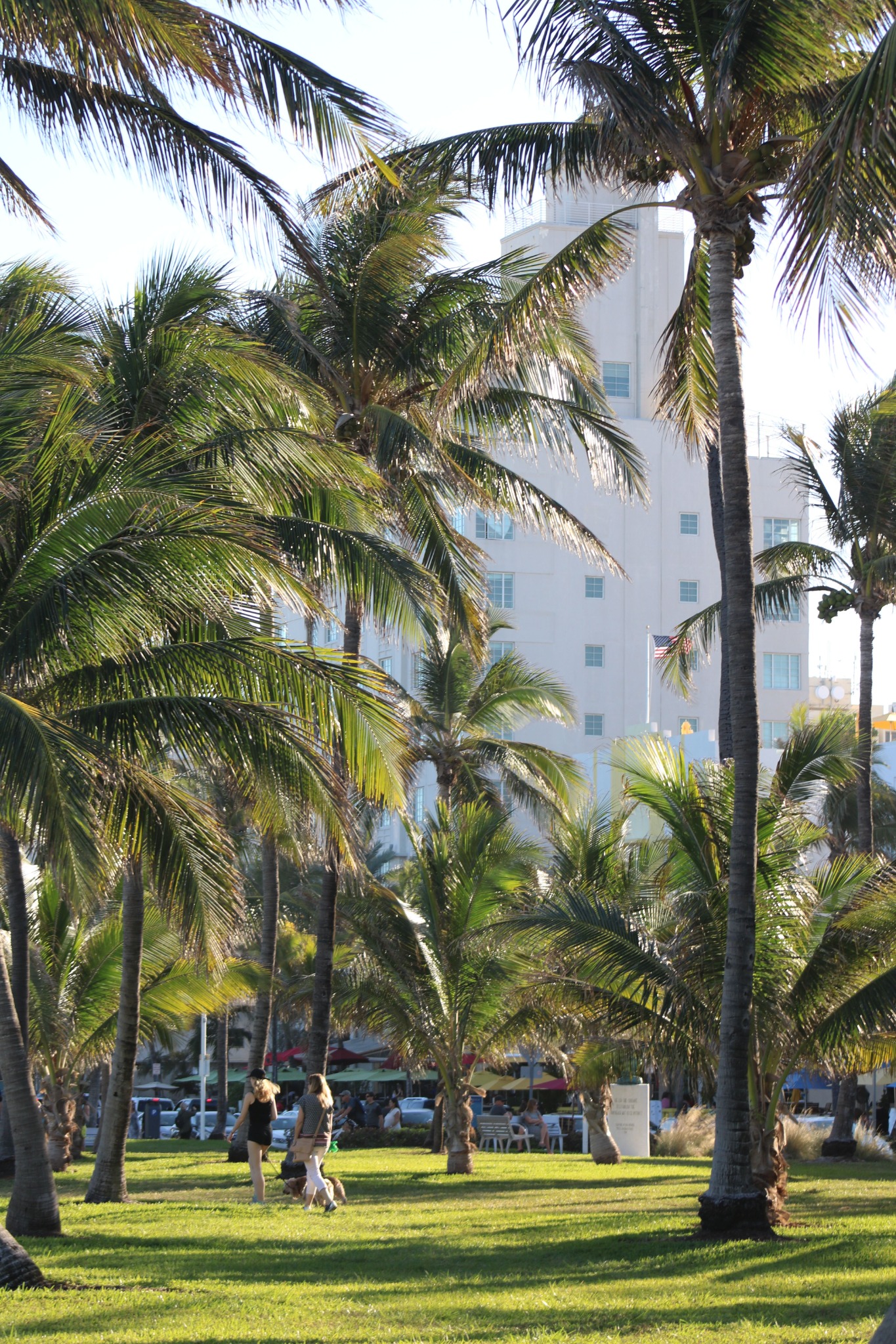 Palm-filled park in Miami Beach
