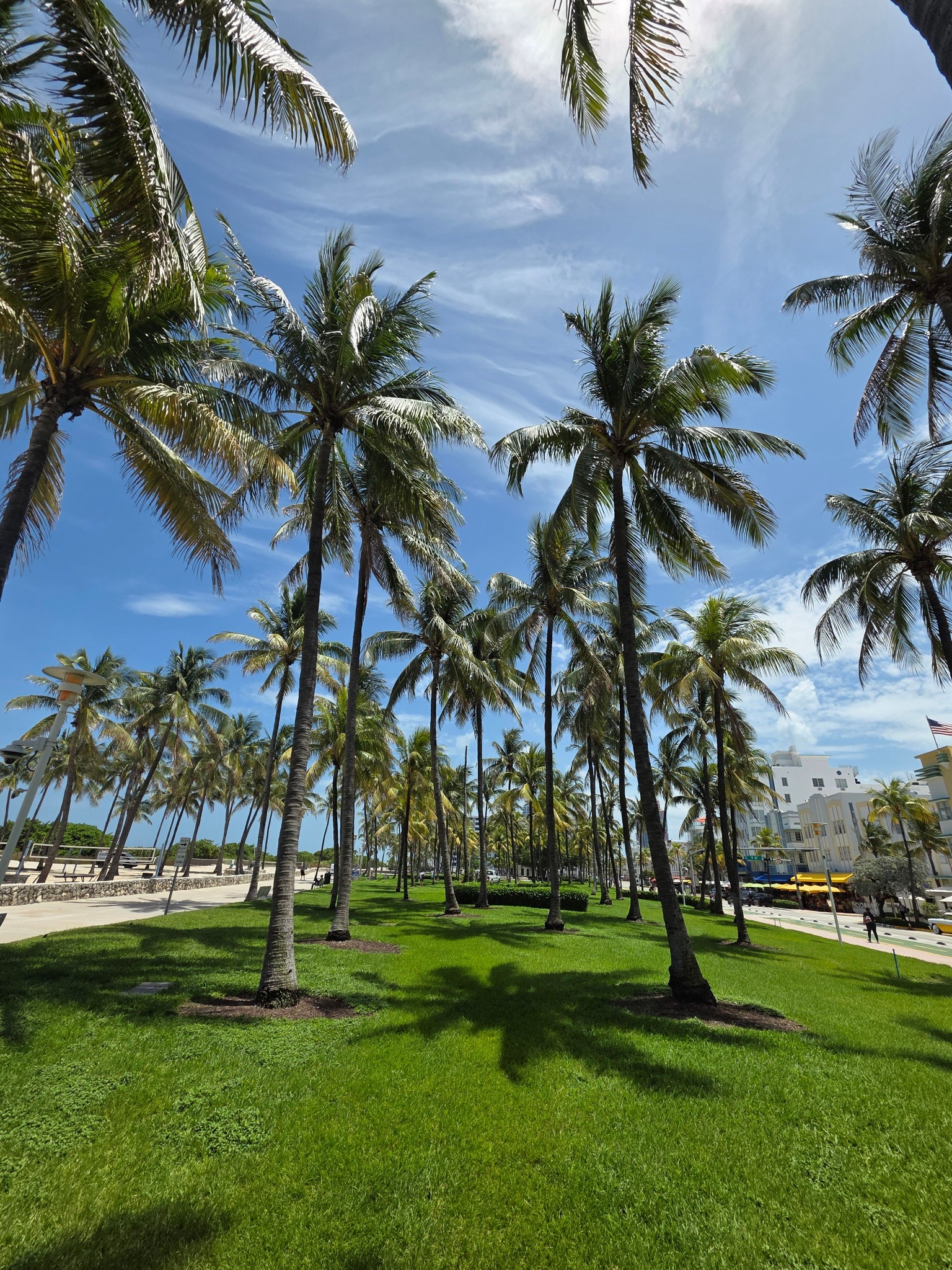 Palm-lined park beside Ocean Drive in Miami Beach