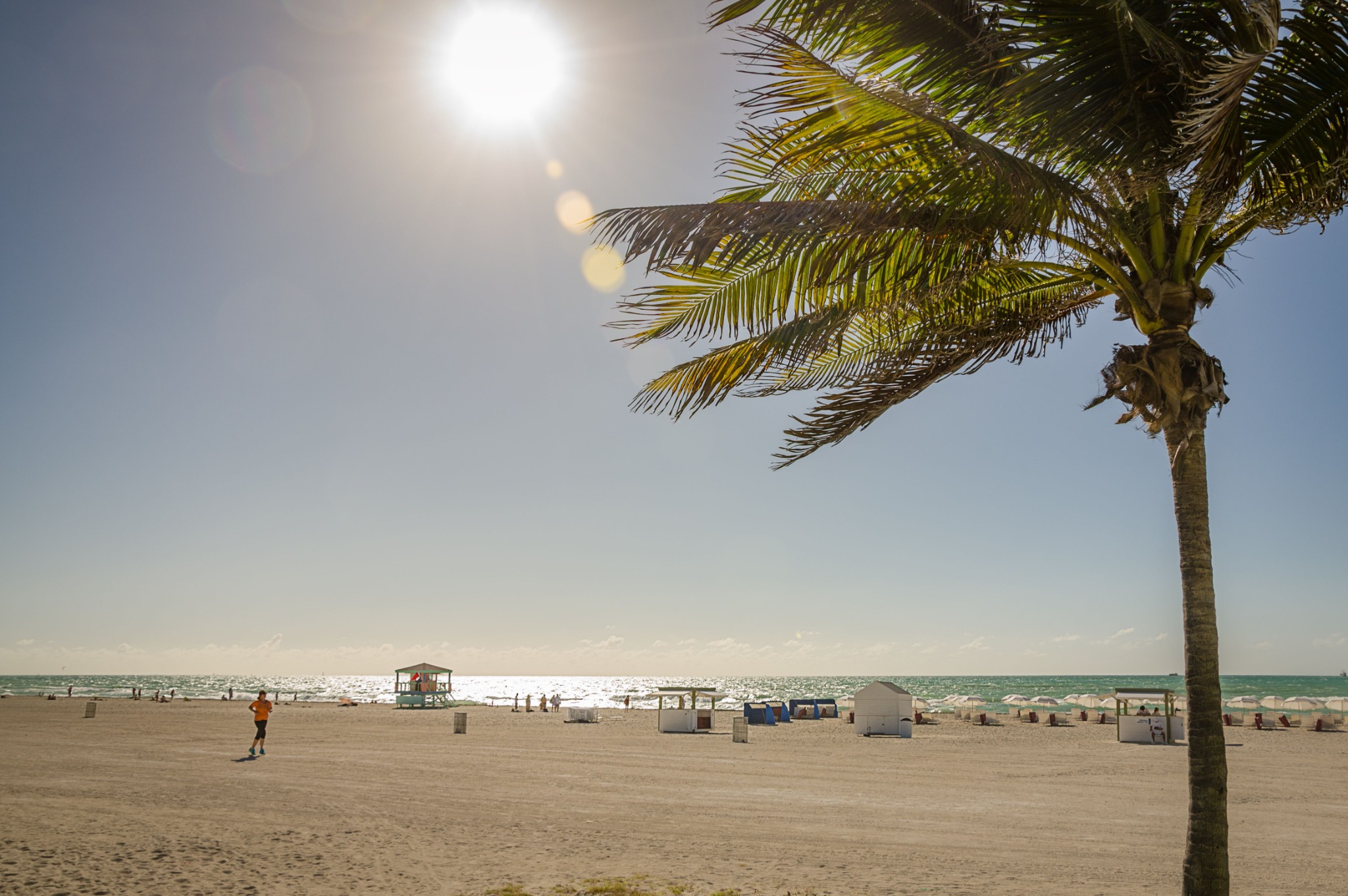 Wide Miami Beach shoreline beneath a sunlit palm